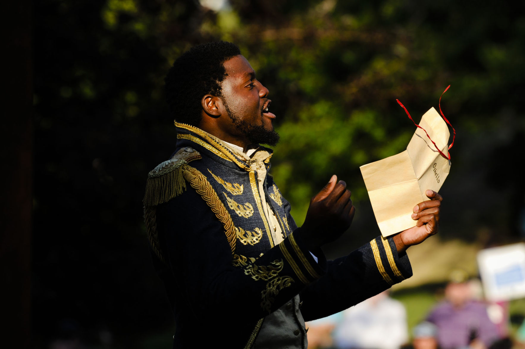 Shakespeare in the Parks